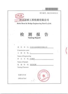公司检测报告